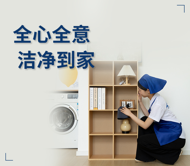 全心全意 QJ.DAOJIA